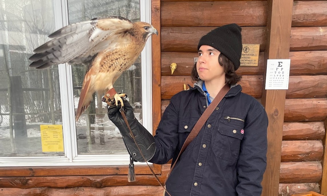 an image of staff member holding a red-tailed hawk. 