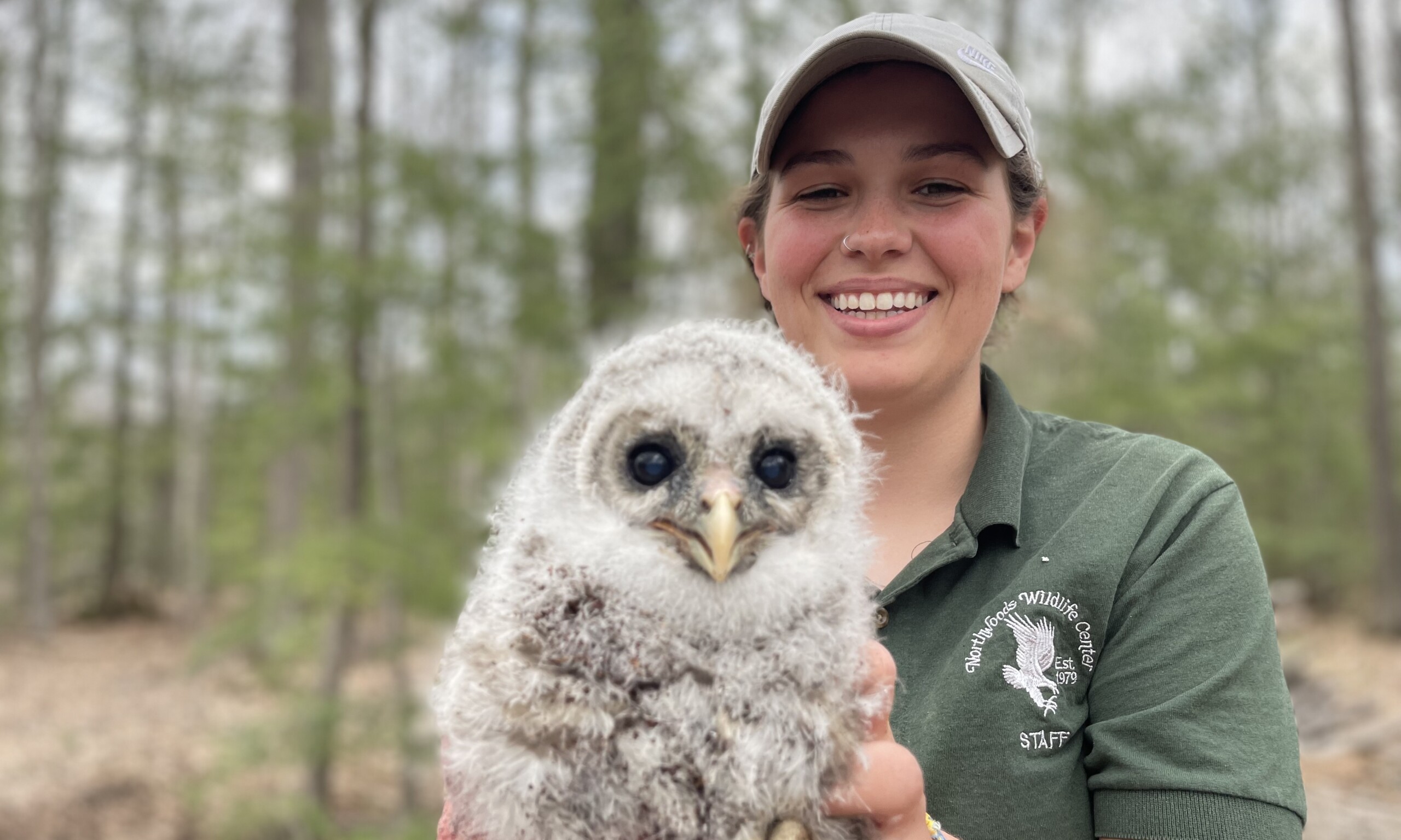 image of an intern holding a baby barn owl 