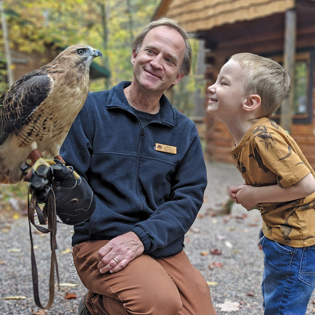 Eduction director holding red-tailed hawk to show child
