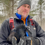 image of Bryon Black (executive director) holding a crow