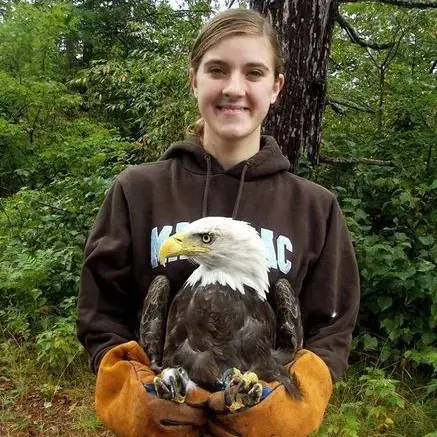 image of Amanda (rehabilitation director) holding a bald eagle 