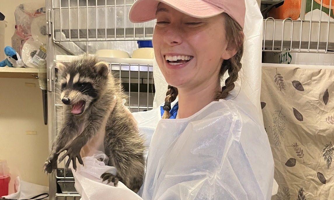 Intern smiling while holding a raccoon who is also smiling 
