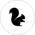 Squirrel-level membership icon