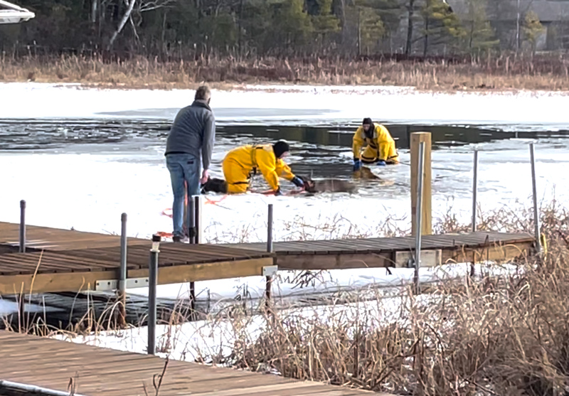 Firemen pulling the white-tailed deer doe out of the water. onto the ice.