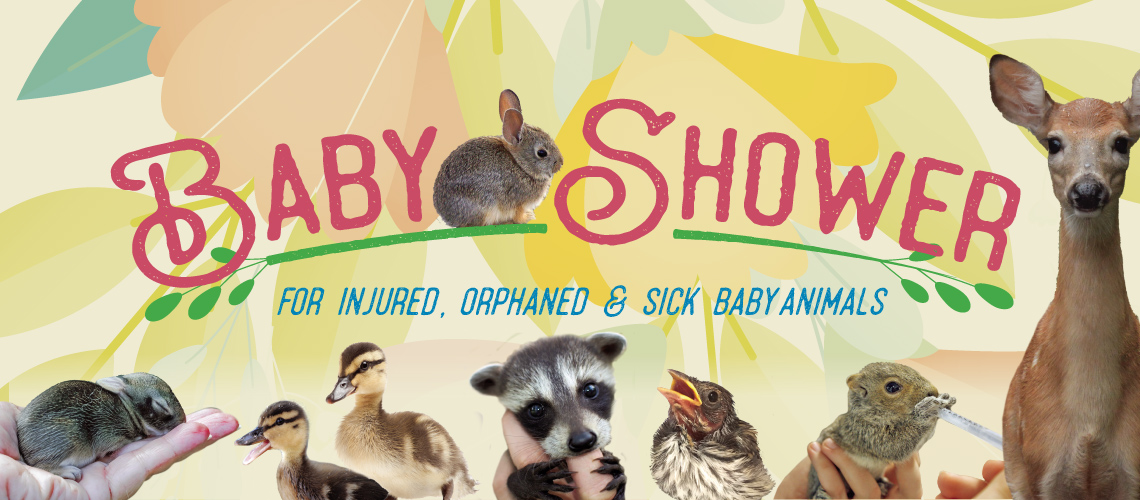 Baby shower in support of injured, orphaned, or sick wild baby animals.