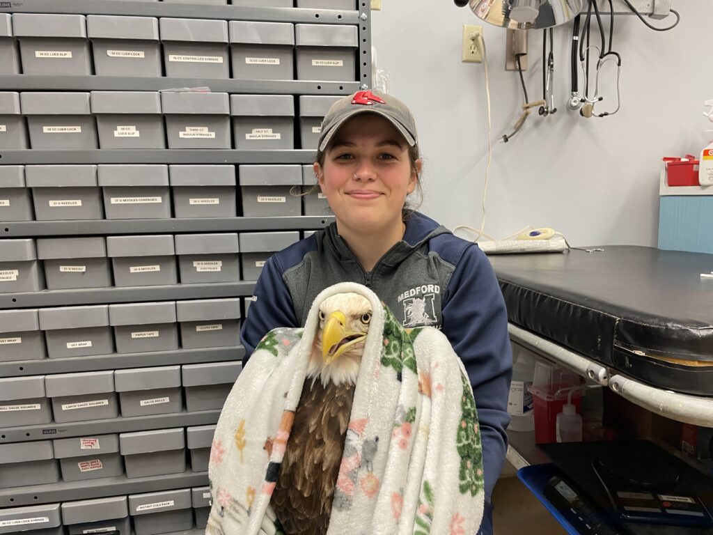 kayla holding a bald eagle