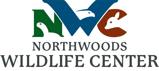 NorthWoods Wildlife Center