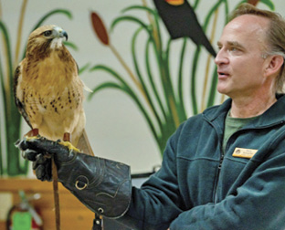 Bart Kotarba holding Tommi, the red-tailed hawk.