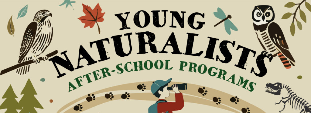 Young Naturalists After School Programs