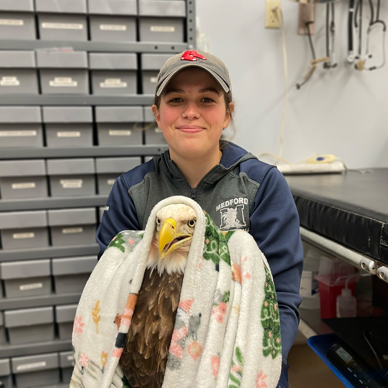 Kayla holding a bald eagle during it's exam