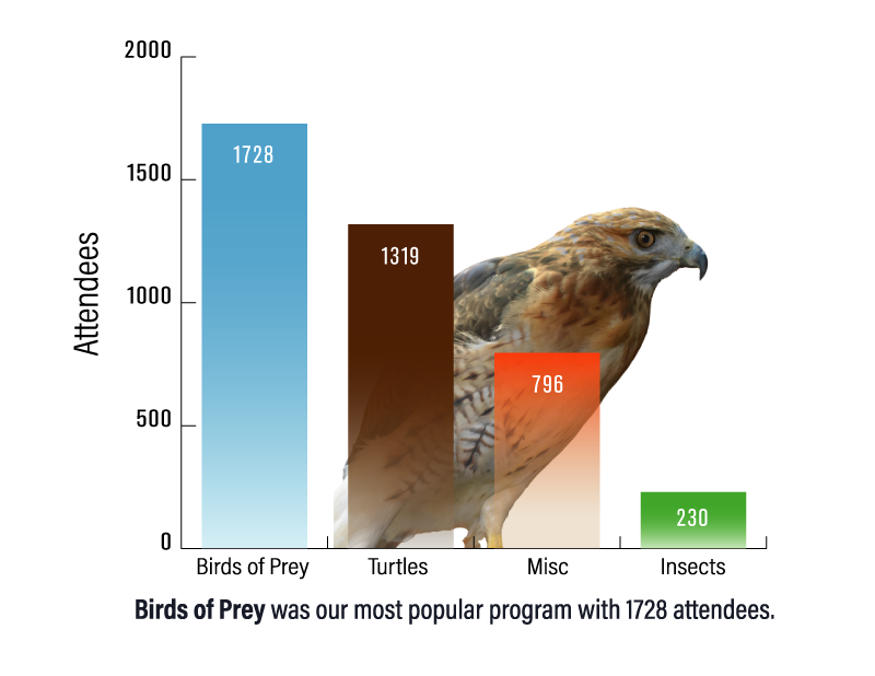 chart showing the most common individual species with eastern cottonatail rabbits being the most common species followed by raccoon, then white-footed mouse, then pine siskins, and white-tailed deer.