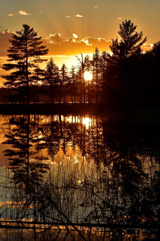 A beautiful sunset through the trees and reflected in a serene lake