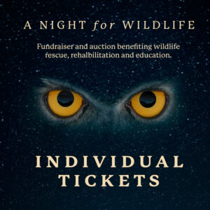 Individual tickets for Night for Wildlife