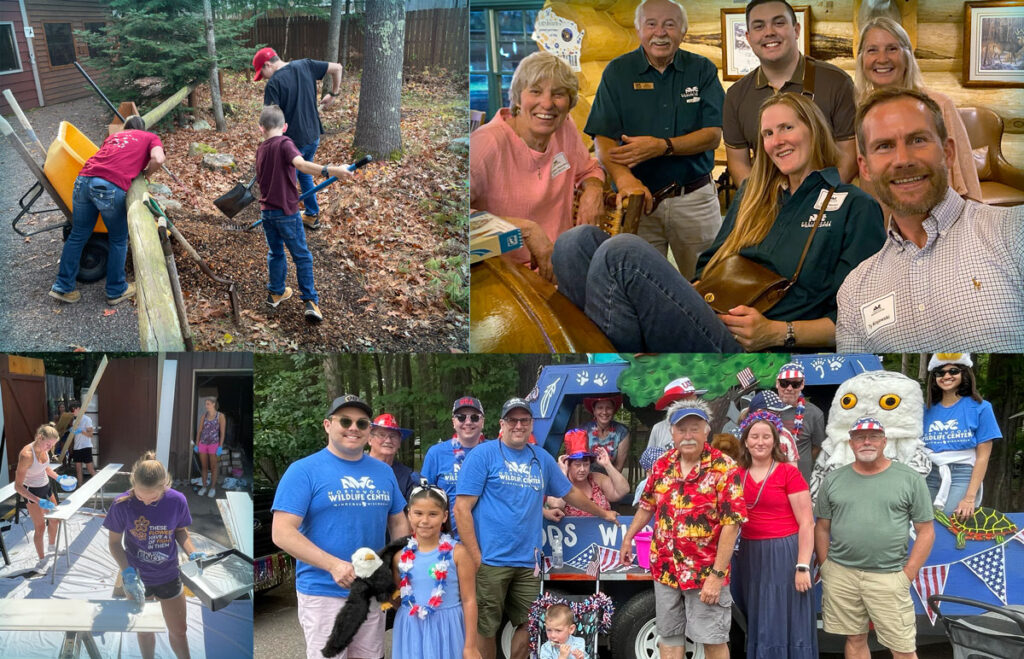 A collage of photos showing people volunteering for various jobs at the Northwoods Wildlife Center