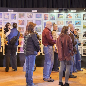 Photo Gala Online Submissions