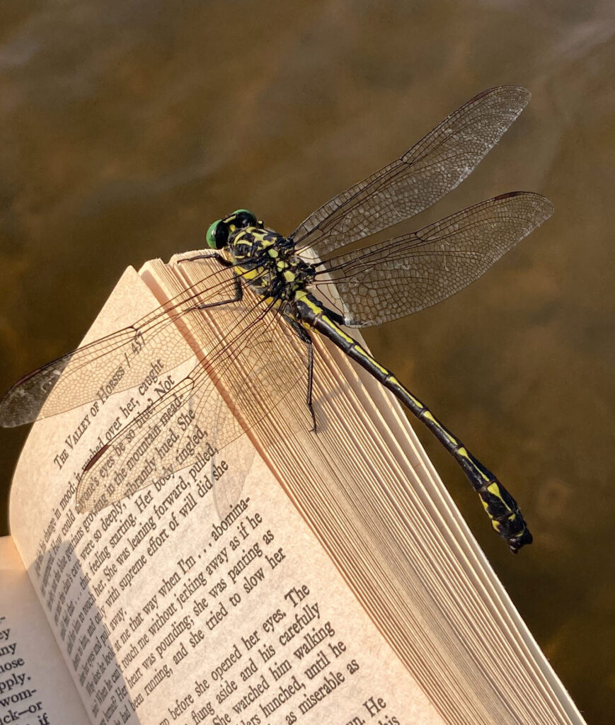  Caroline Fender - Reading Buddy