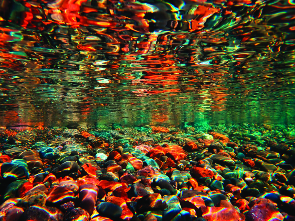 James Arnold - Specular Reflection