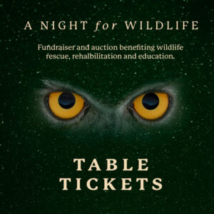 Table tickets for Night for Wildlife