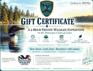 four-hour wildlife expedition